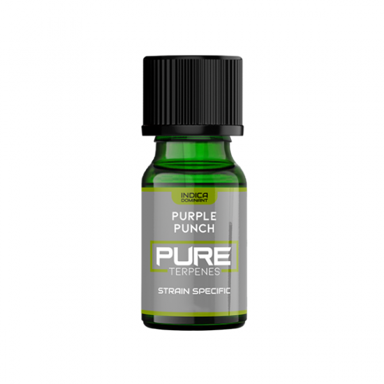 UK Flavour Pure Terpenes Indica - 2.5ml - Flavour: Purple Punch