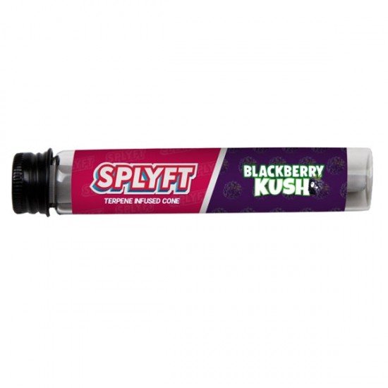 SPLYFT Cannabis Terpene Infused Rolling Cones – Blackberry Kush - Amount: x1