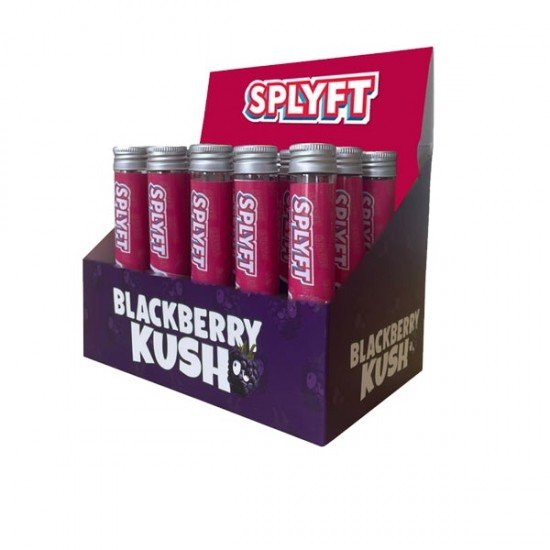 SPLYFT Cannabis Terpene Infused Rolling Cones – Blackberry Kush - Amount: x15 (Display Box)